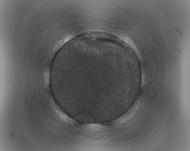 X0000114190393200911061408