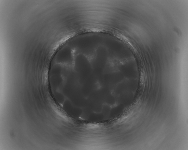 X0000114190394200911061408