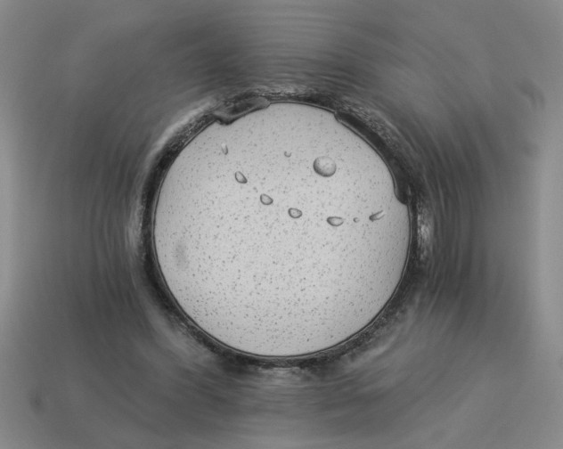 X0000114190396200911061408