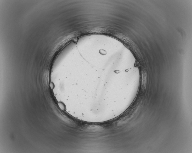 X0000114190397200911061408