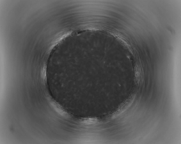 X0000114190398200911061408