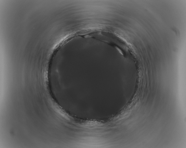 X0000114190399200911061407