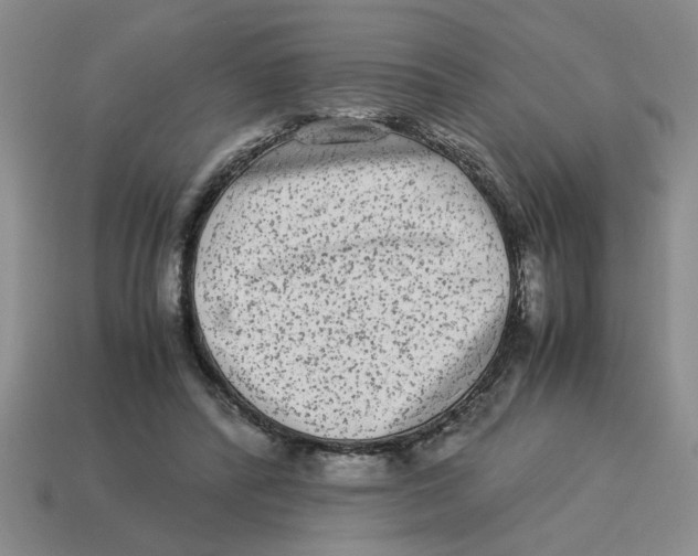 X0000114190400200911061407