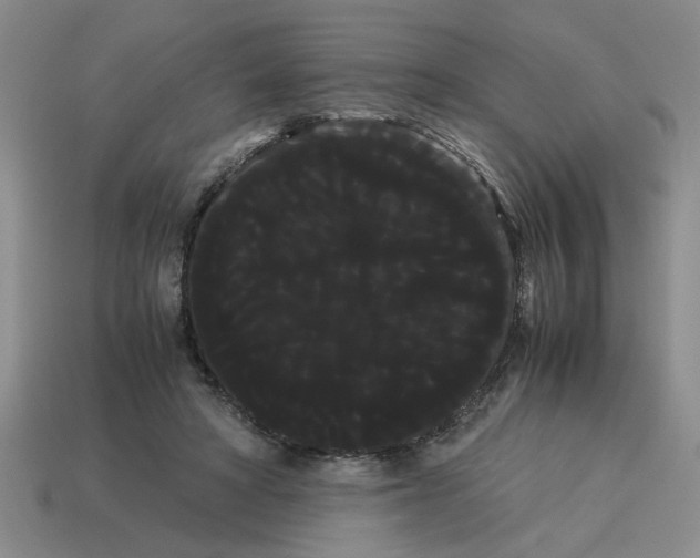 X0000114190402200911061407