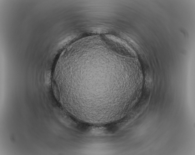 X0000114190403200911061407