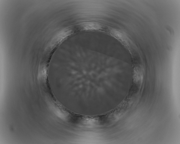 X0000114190405200911061407