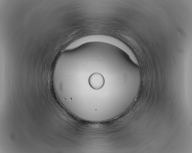 X0000114190409200911061407