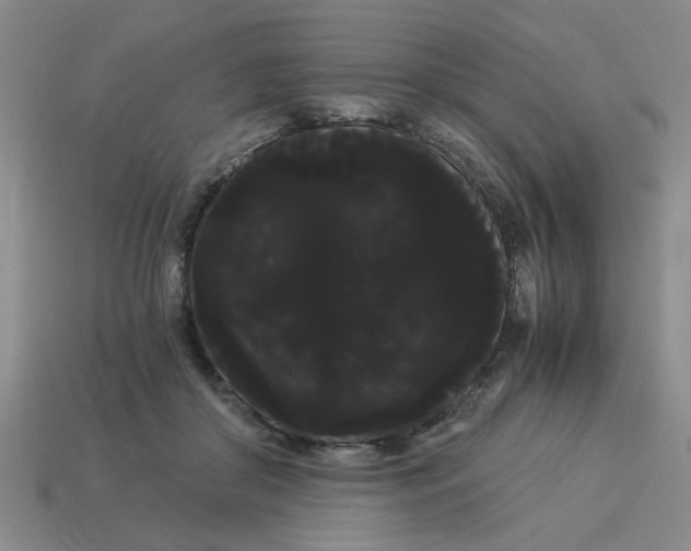 X0000114190410200911061407