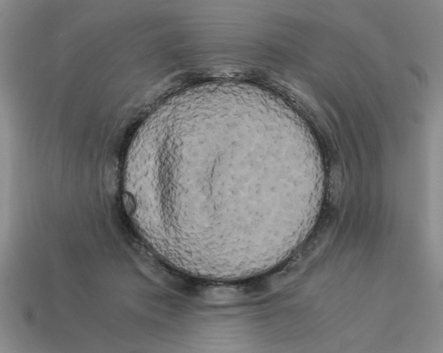 X0000114190413200911061407