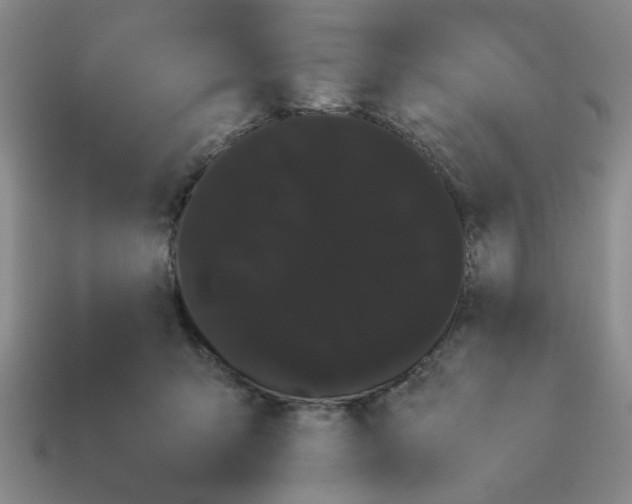 X0000114190415200911061407