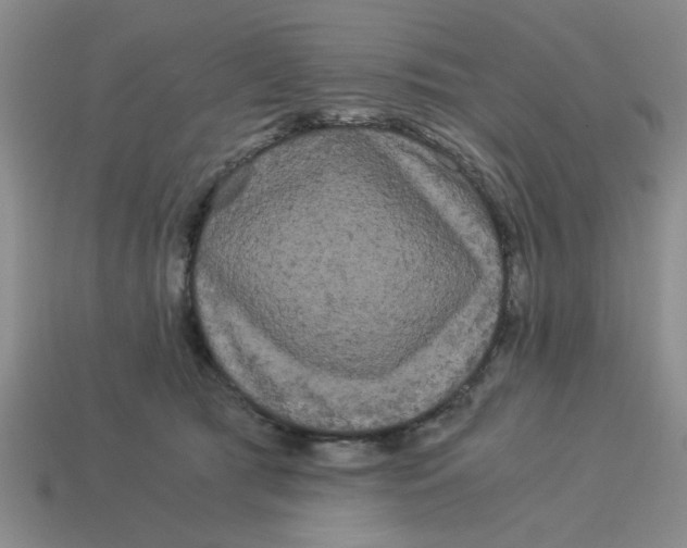 X0000114190417200911061407