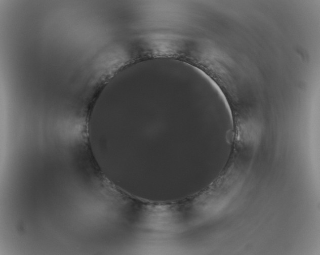 X0000114190419200911061407