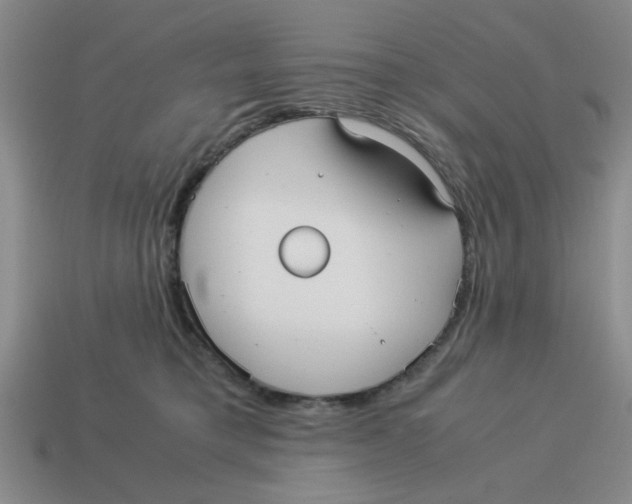 X0000114190421200911061407