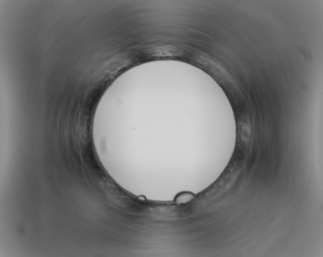 X0000114190422200911061407