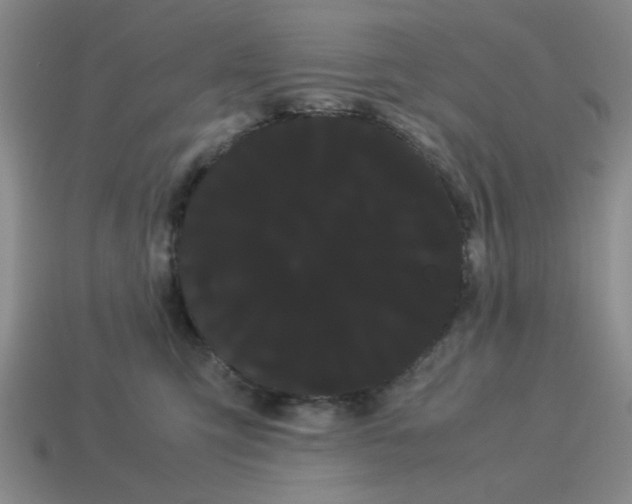 X0000114190423200911061407