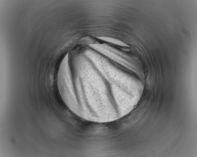 X0000114190424200911061407