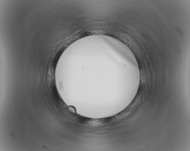 X0000114190425200911061407