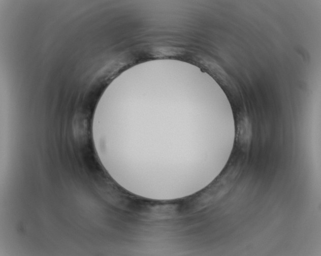 X0000114190426200911061407