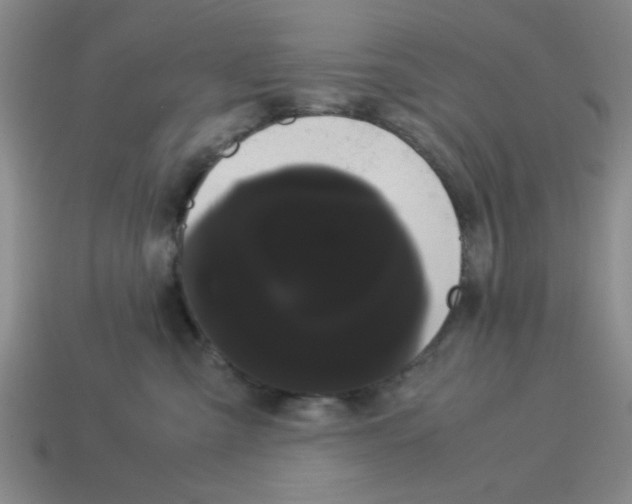 X0000114190427200911061407