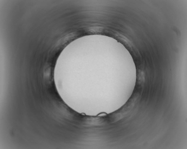 X0000114190428200911061407