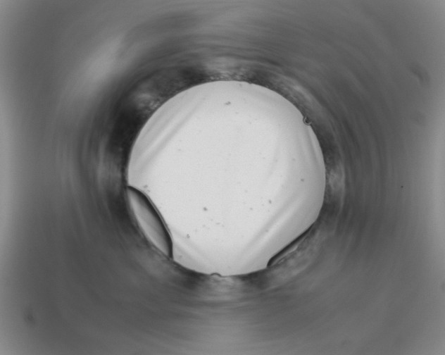 X0000114190429200911061407