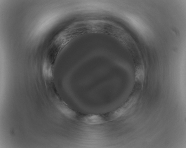 X0000114190431200911061407