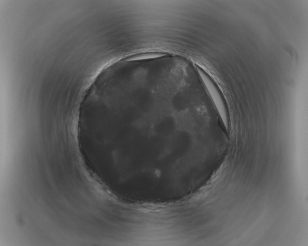 X0000114190434200911061406