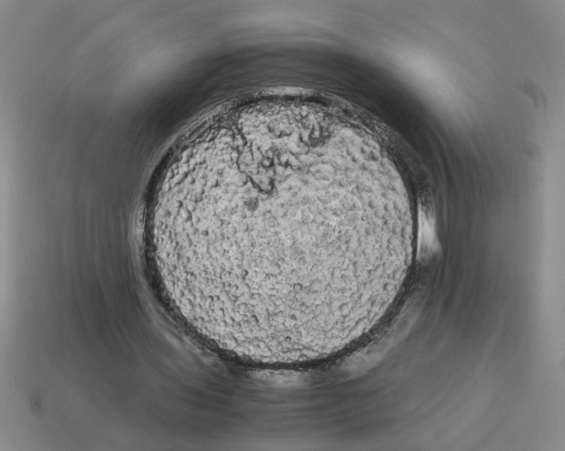 X0000114190435200911061406