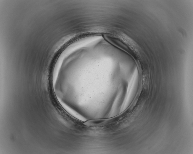 X0000114190436200911061406