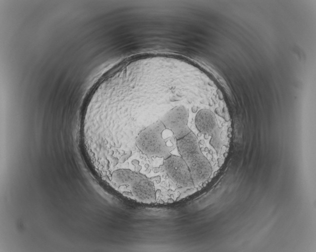 X0000114190437200911061406