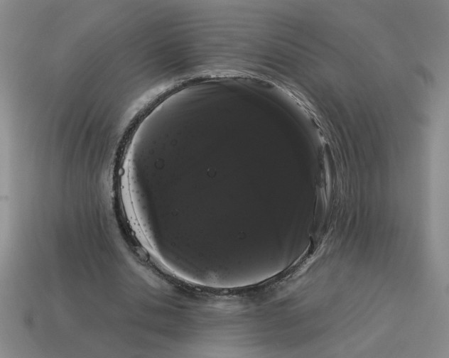 X0000114190438200911061406