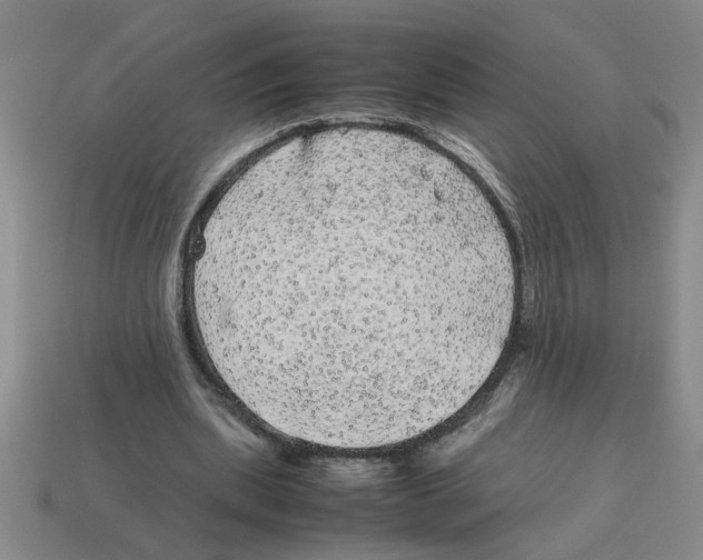 X0000114190439200911061406