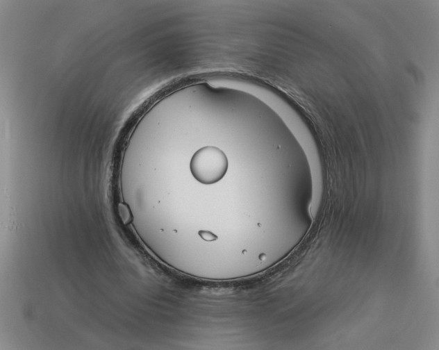 X0000114190440200911061406