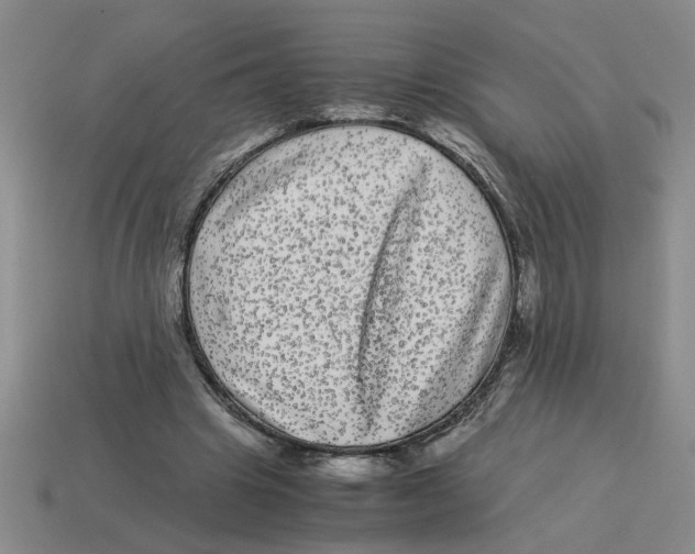 X0000114190441200911061406