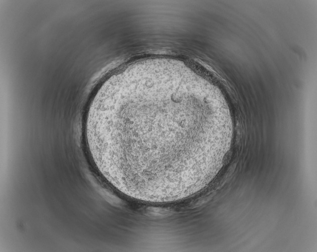 X0000114190442200911061406