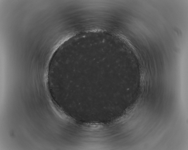 X0000114190443200911061407