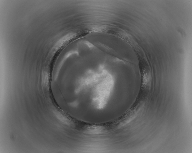 X0000114190444200911061407