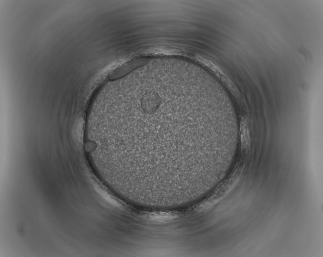 X0000114190445200911061407