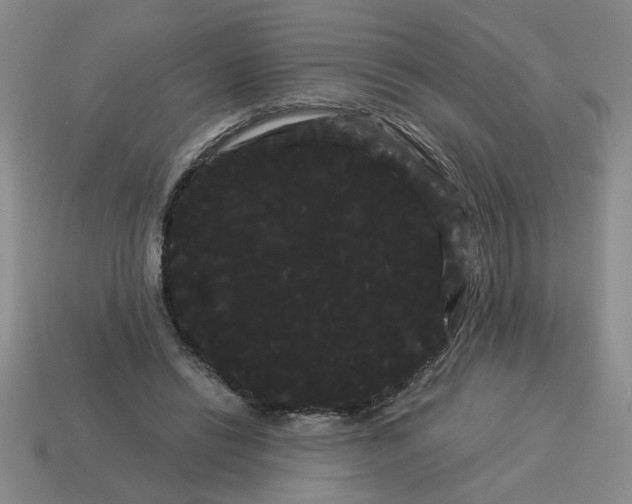 X0000114190446200911061407