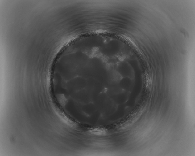 X0000114190447200911061407