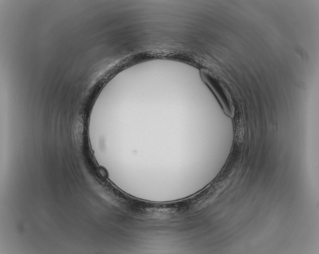 X0000114190448200911061407