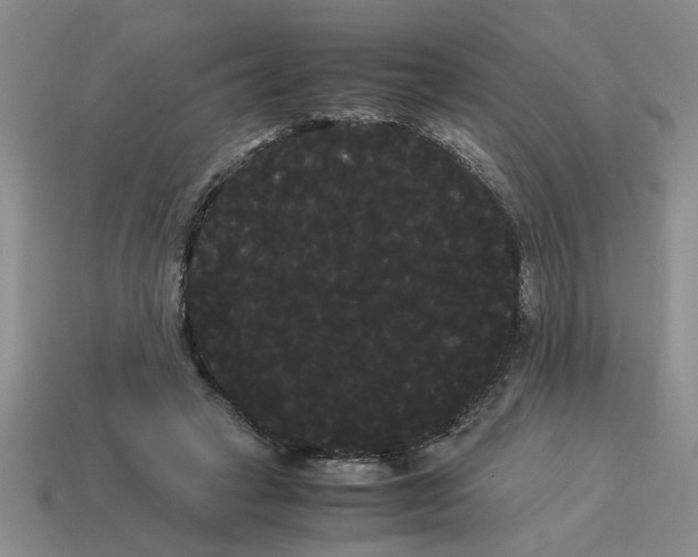 X0000114190449200911061407