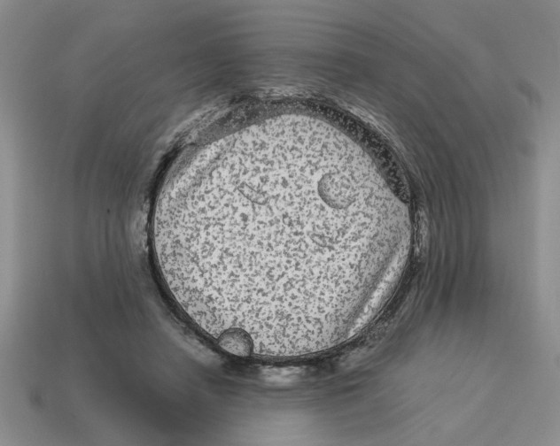 X0000114190450200911061407