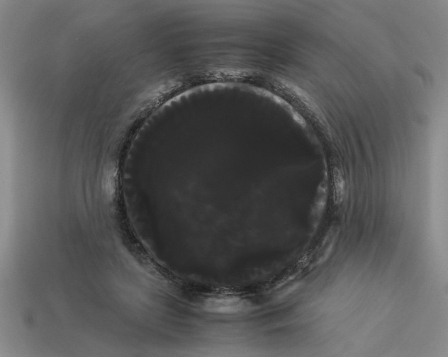 X0000114190451200911061407