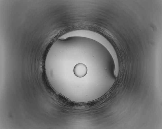 X0000114190452200911061407