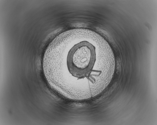 X0000114190453200911061407