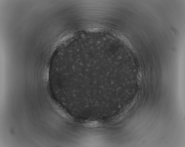 X0000114190454200911061407