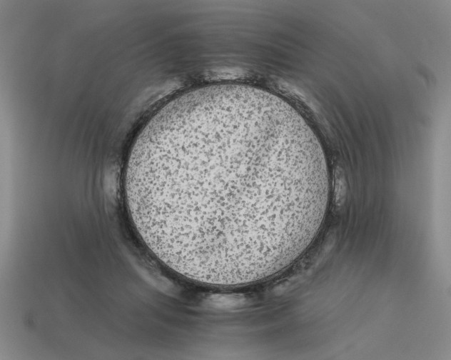 X0000114190455200911061407