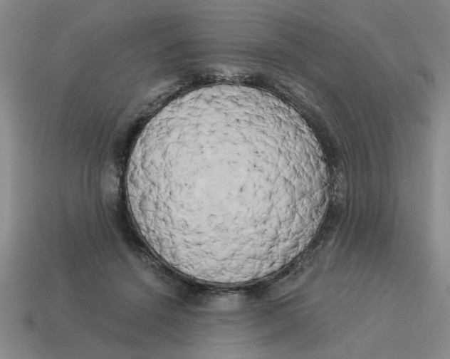 X0000114190456200911061407