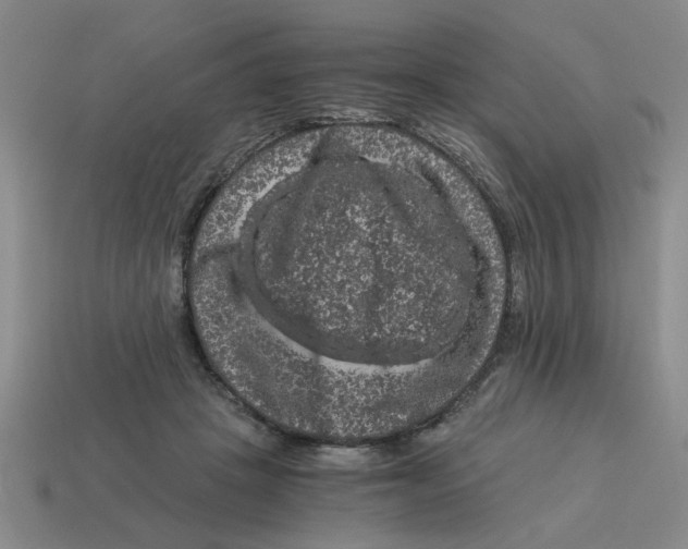 X0000114190457200911061407